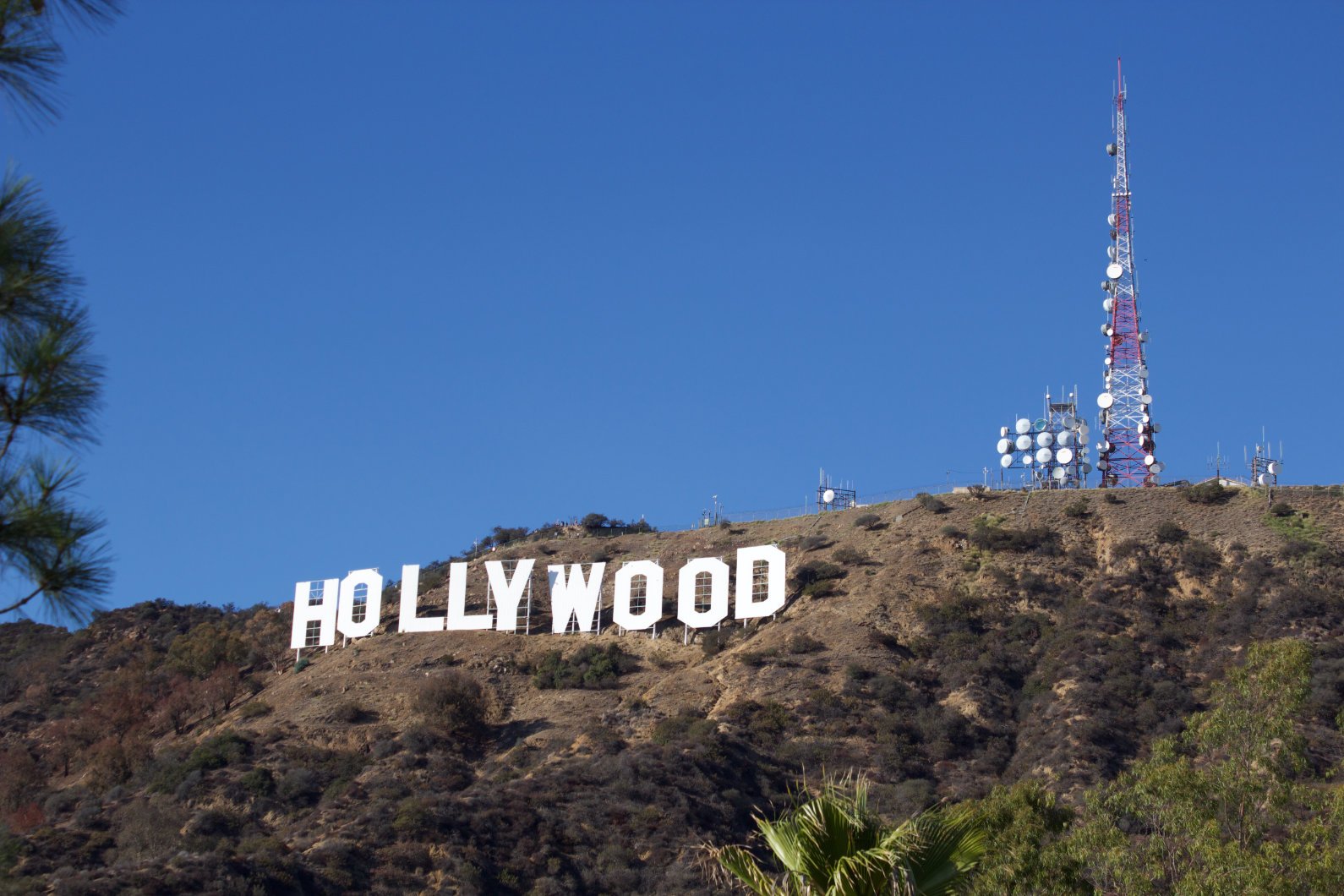 Hollywood Sign009